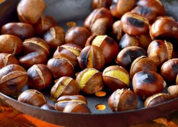 Verão de São Martinho